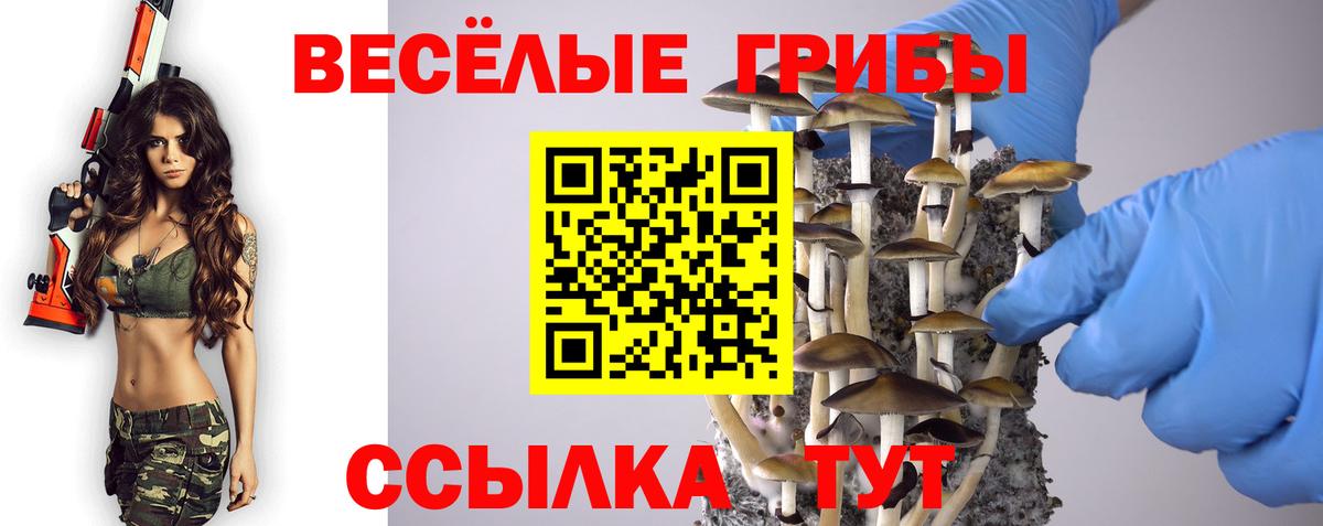 Псилоцибиновые грибы Cubensis  Вход с VPN  Вязники 