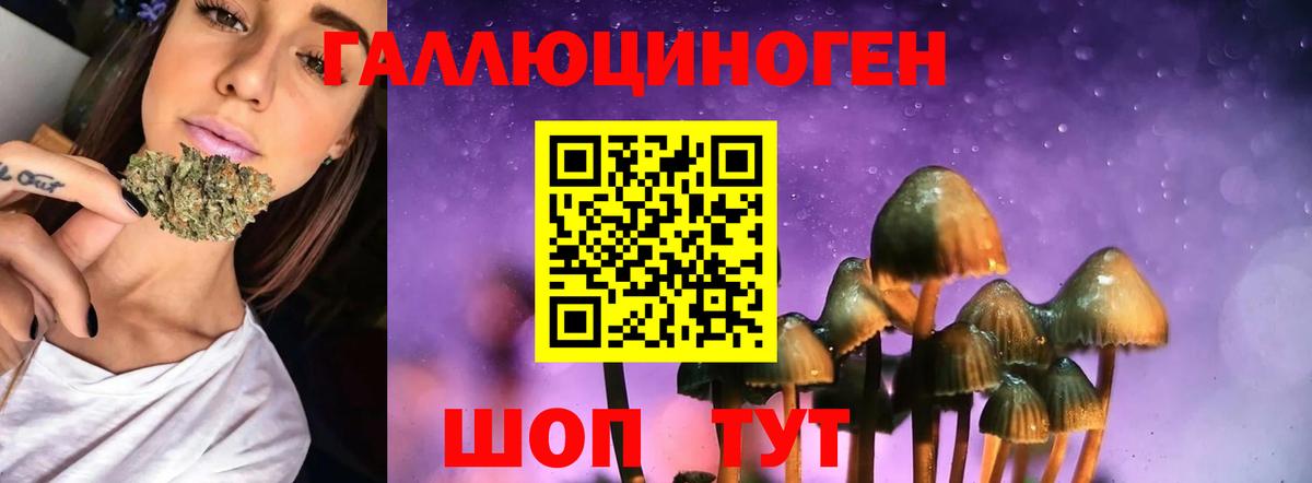 Галлюциногенные грибы мухоморы Вязники
